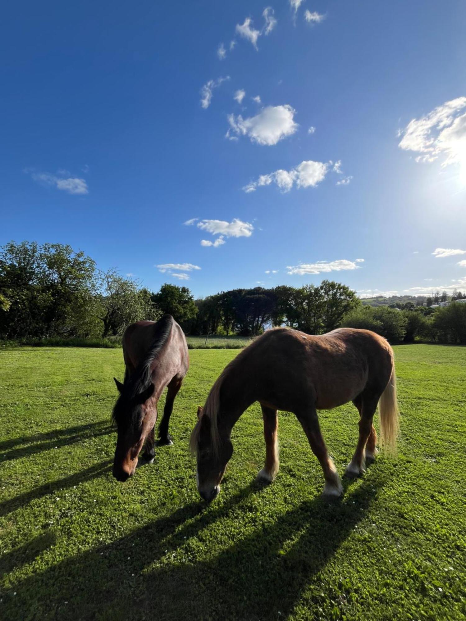 Casa Rural Santa Marina Portomarin Eksteriør bilde